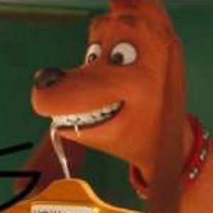 Meet your Posher, Thomas